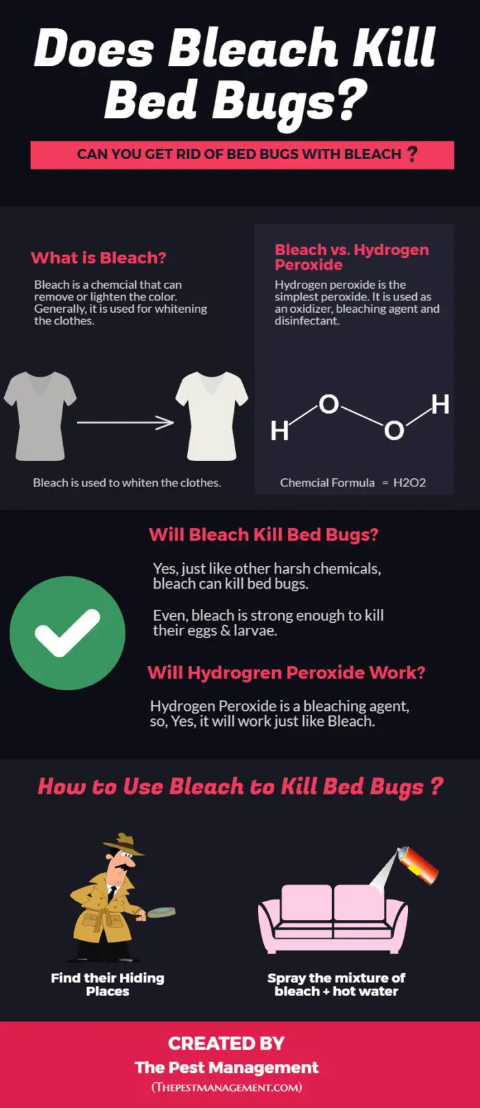 Does Bleach Kill Bed Bugs And Their Eggs With Infographic with Killing Bed Bugs In Clothes
