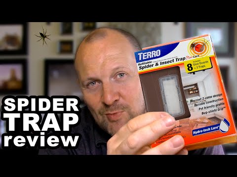 How To Get Rid of Spiders In Car {And Keep Them Out} | The Pest Management : Tips to Control Pests (4) How To Get Rid of Spiders In Car {And Keep Them Out} | The Pest Management : Tips to Control Pests (4)