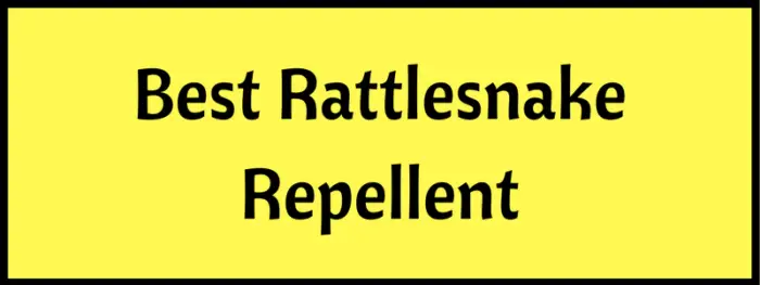 Rattlesnake repellents in 2019