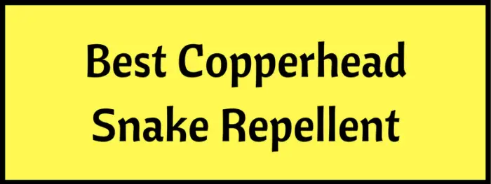 Best Snake Repellent for Copperheads