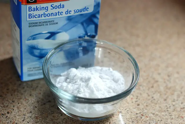 Does baking soda kill bed bugs