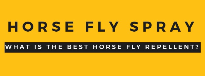 Best Horse Fly Spray in 2019