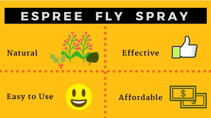 Best Equine Fly Spray
