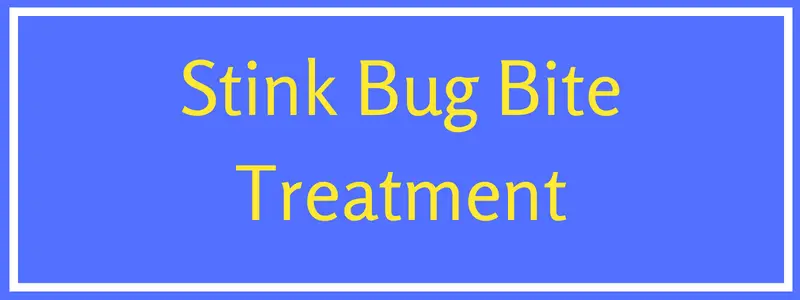 Stink bugs bite treatment