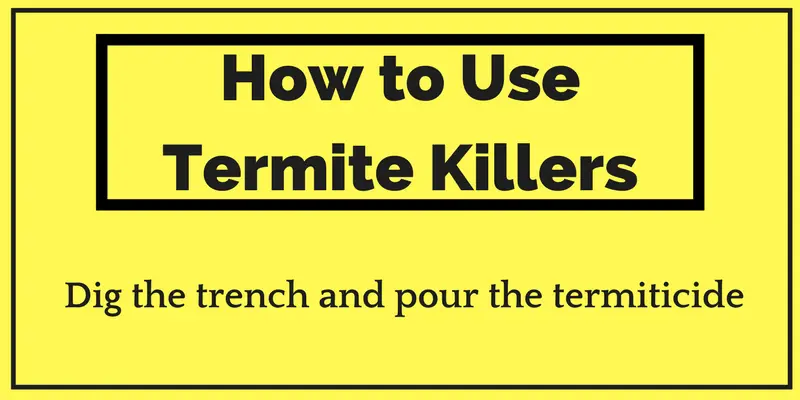 Best Termite Killer Products