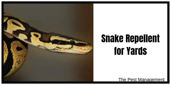 Snake Repellent for Copperheads and Rattlesnakes