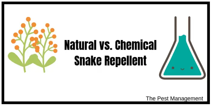 Different types of snake repellents