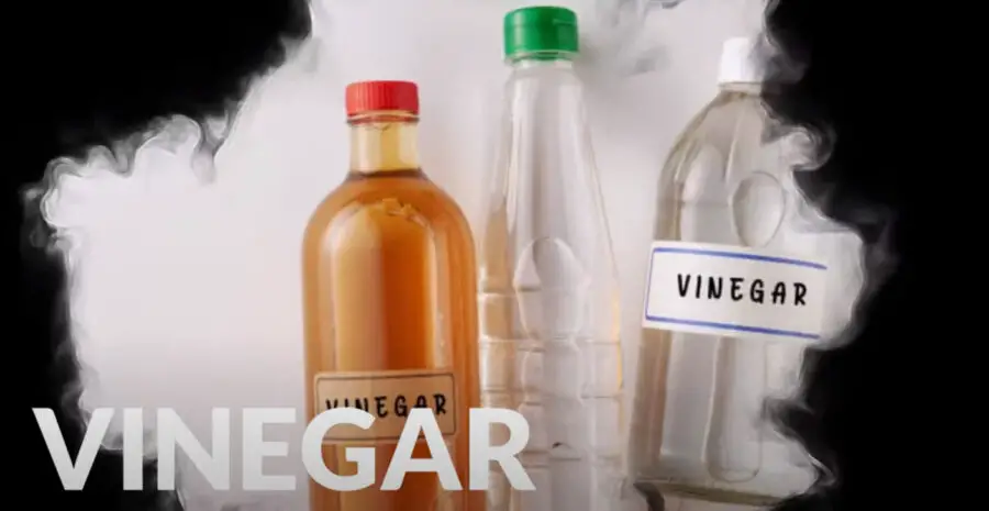What Kind of Vinegar Kills Termites