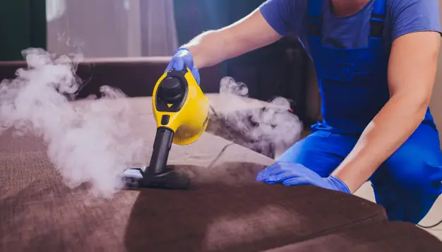 how to kill fleas with steam cleaner