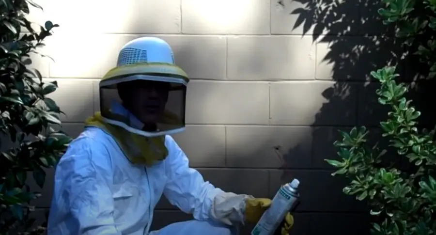 How Do You Get Rid of Yellow Jackets In a Wall? {How About A Roof or