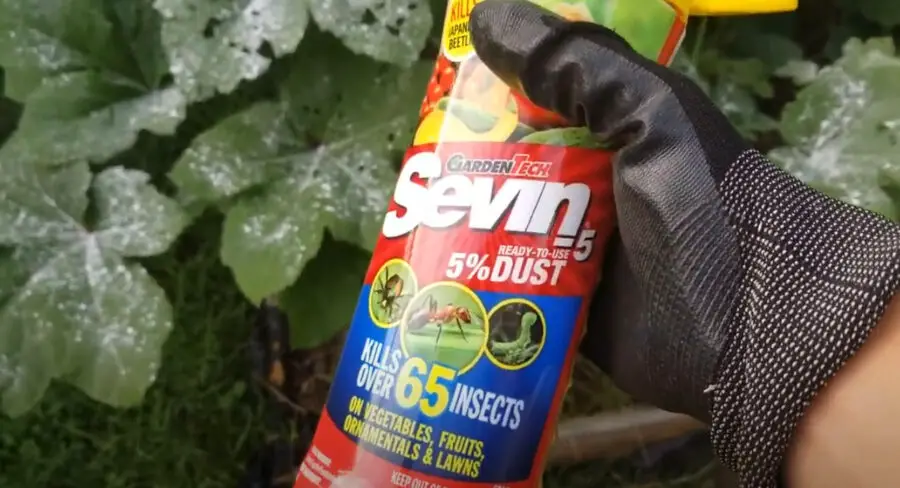 Does Sevin Dust Kill Yellow Jackets
