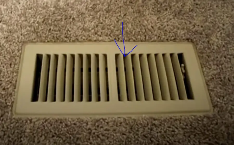 Termites Coming Out Of Air Vents
