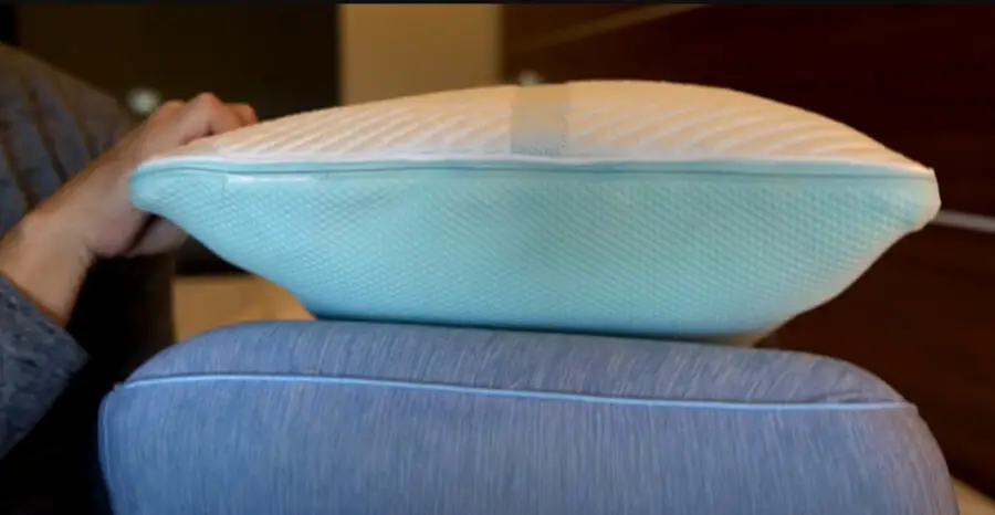Can Bed Bugs Get Into Memory Foam Pillows